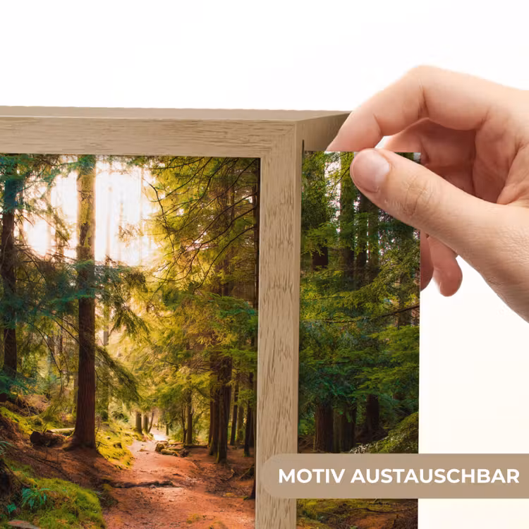 Lightbox - Wandleuchte - Wald - Weg - Bäume - Grün - Sonne - Natur — 6