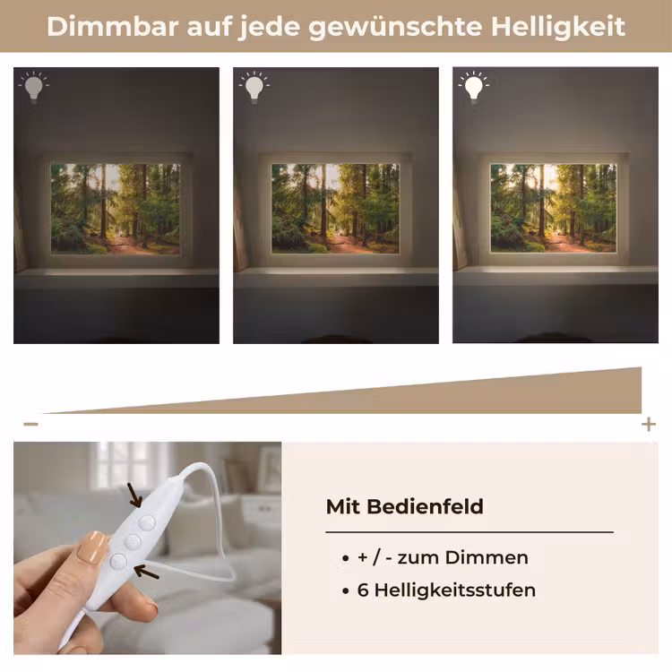 Lightbox - Wandleuchte - Wald - Weg - Bäume - Grün - Sonne - Natur — 8
