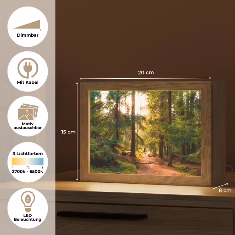 Lightbox - Wandleuchte - Wald - Weg - Bäume - Grün - Sonne - Natur — 9