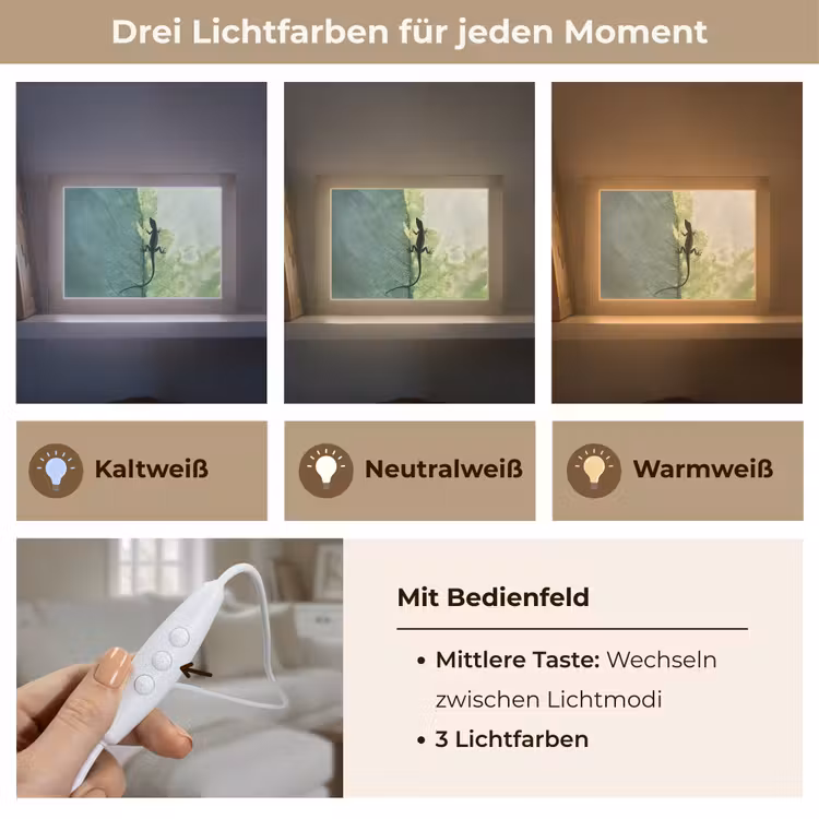 Lightbox - Wandleuchte - Eidechse - Blatt - Venen - Grün — 7