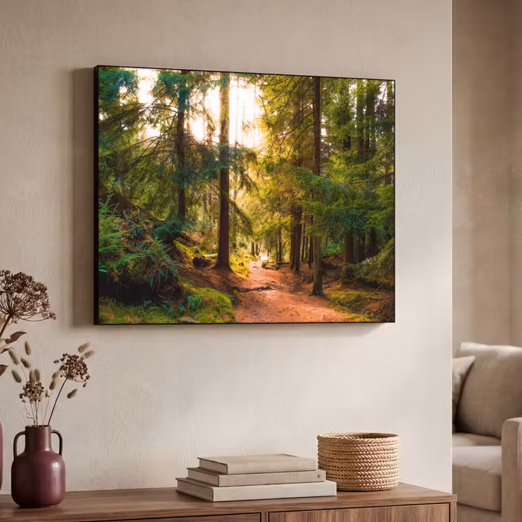 Art Frame - Wald - Weg - Bäume - Grün - Sonne - Natur — 3