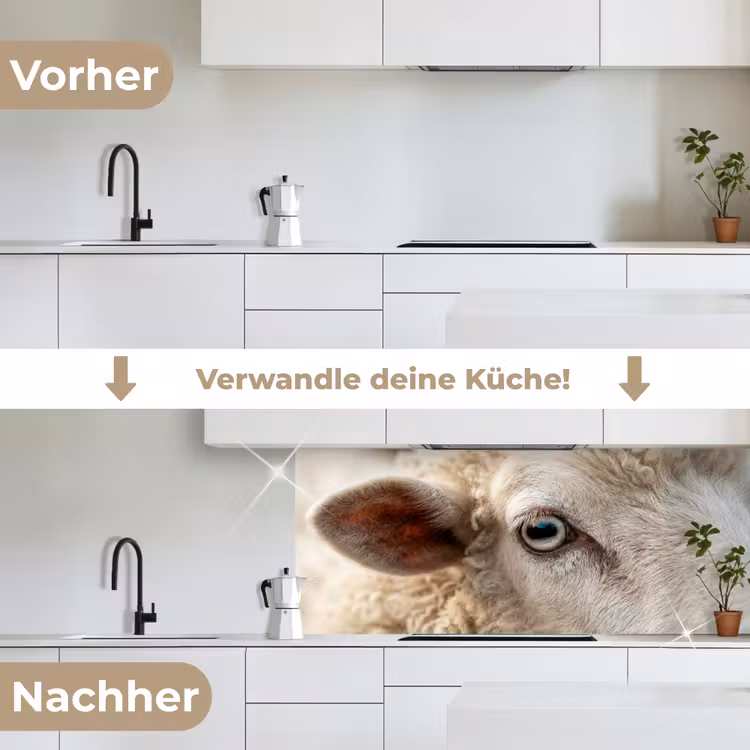 Küchenrückwand - Schaf - Auge - Weiß — 3