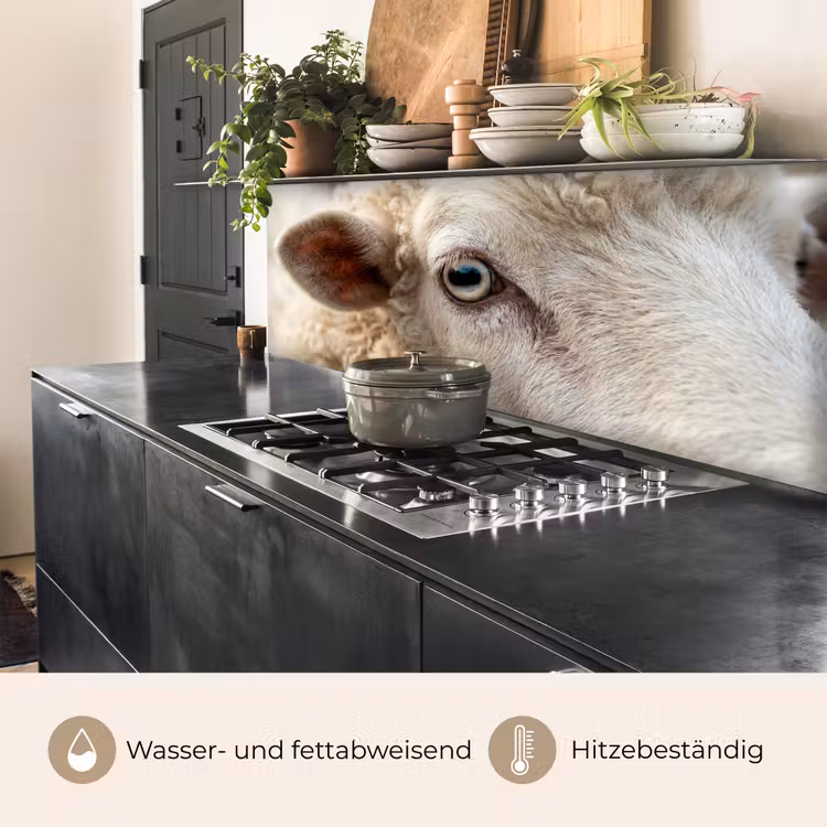 Küchenrückwand - Schaf - Auge - Weiß — 5
