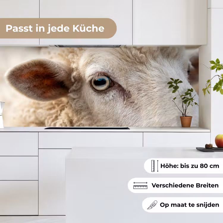 Küchenrückwand - Schaf - Auge - Weiß — 7