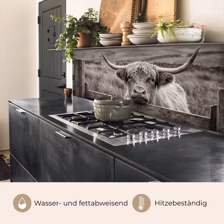 Küchenrückwand - Schottischer Highlander - Schwarz - Weiß - Holz — 5