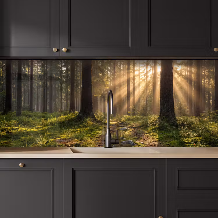 Küchenrückwand - Wald - Sonnenlicht - Gras — 6