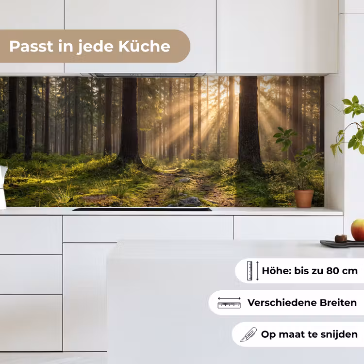 Küchenrückwand - Wald - Sonnenlicht - Gras — 7