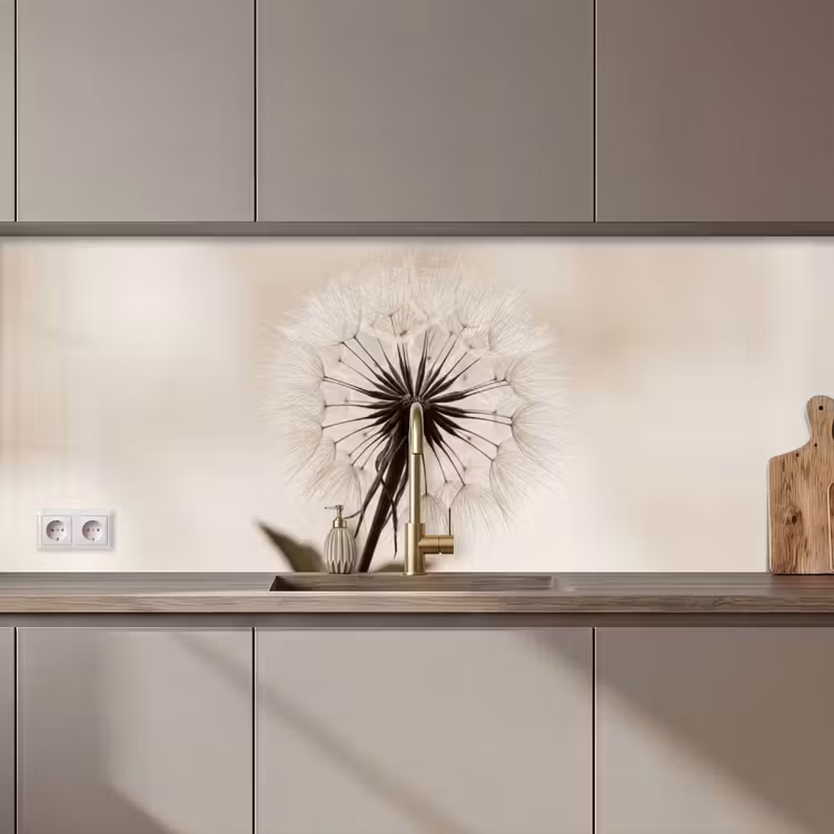Küchenrückwand - Pusteblume - Minimalistisch - Weiß — 1