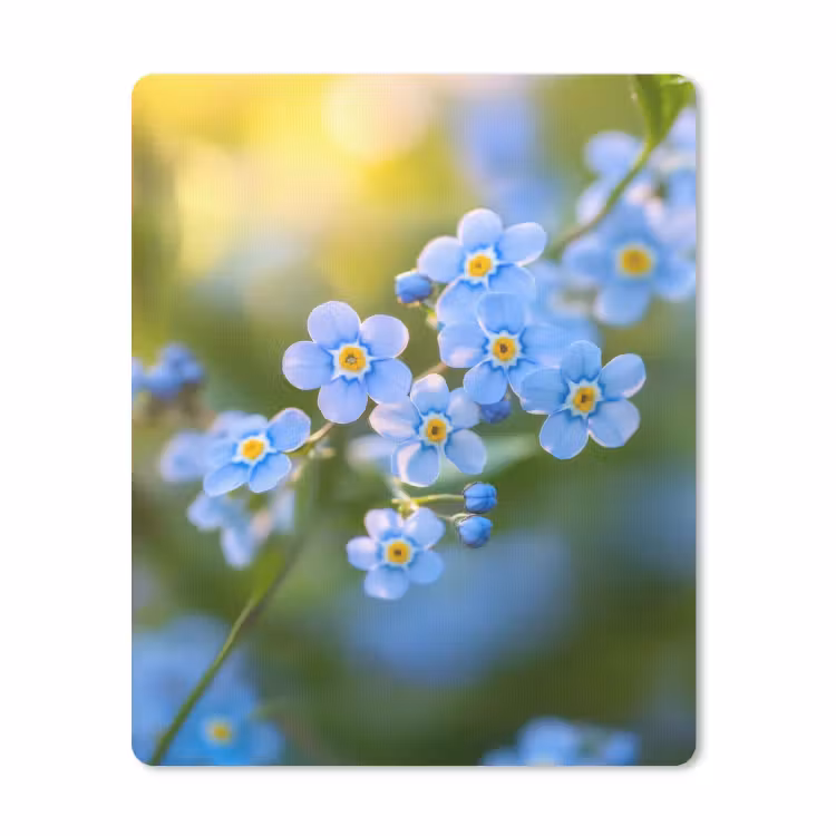 Mauspad - Blumen - Blau - Vergissmeinnicht — 1