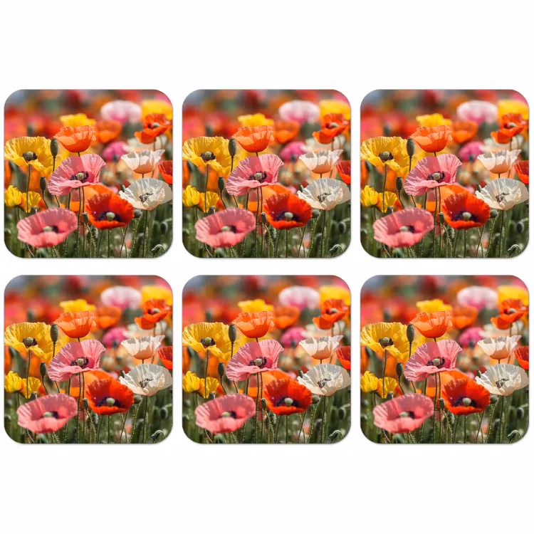 Untersetzer​ - Blumenfeld - Mohnblumen - Farbenfroh — 1