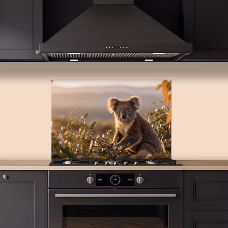 Spritzschutz Küche - Koala - Blätter - Morgenlicht — 6