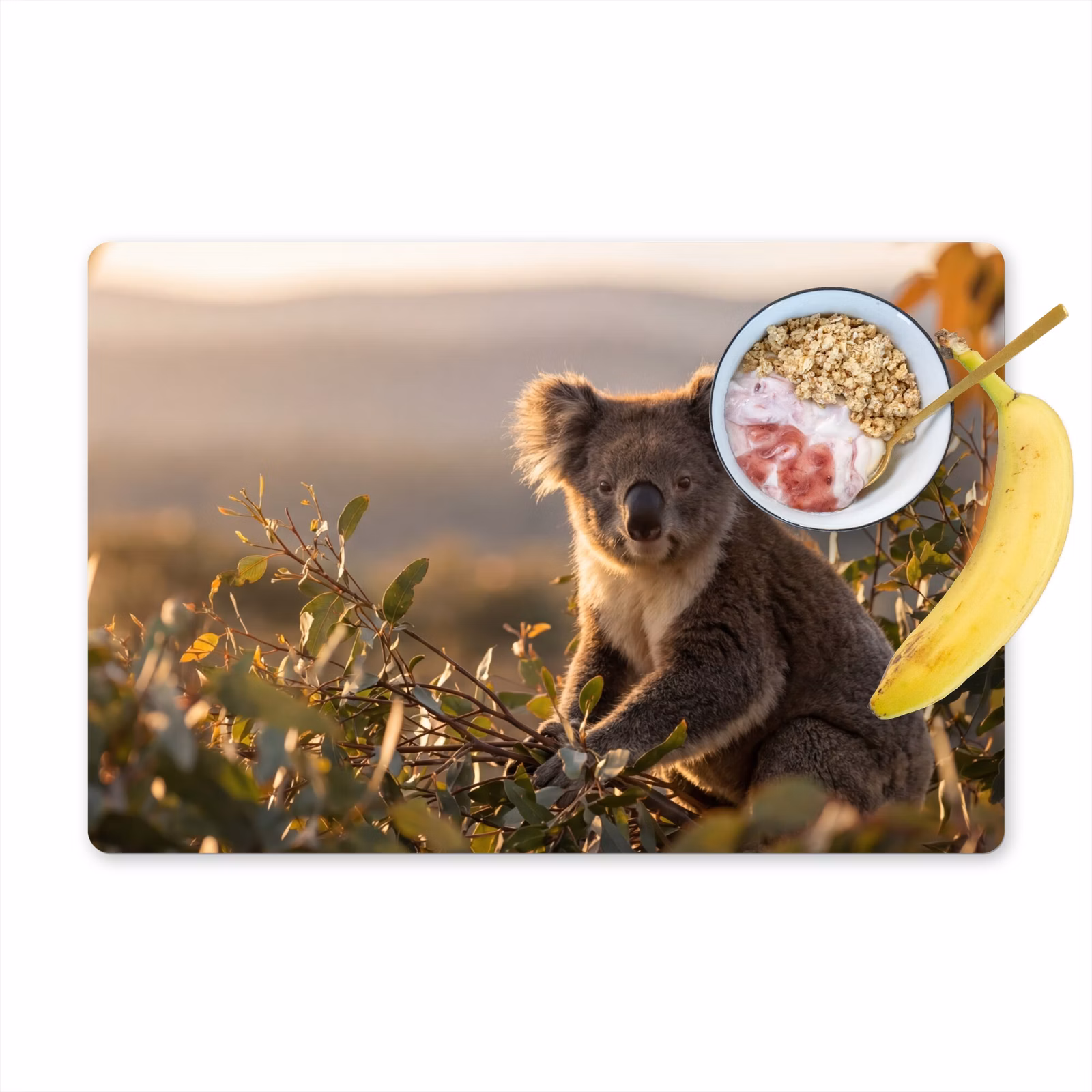 Tischset - 6 Stück - Koala - Blätter - Morgenlicht — 1