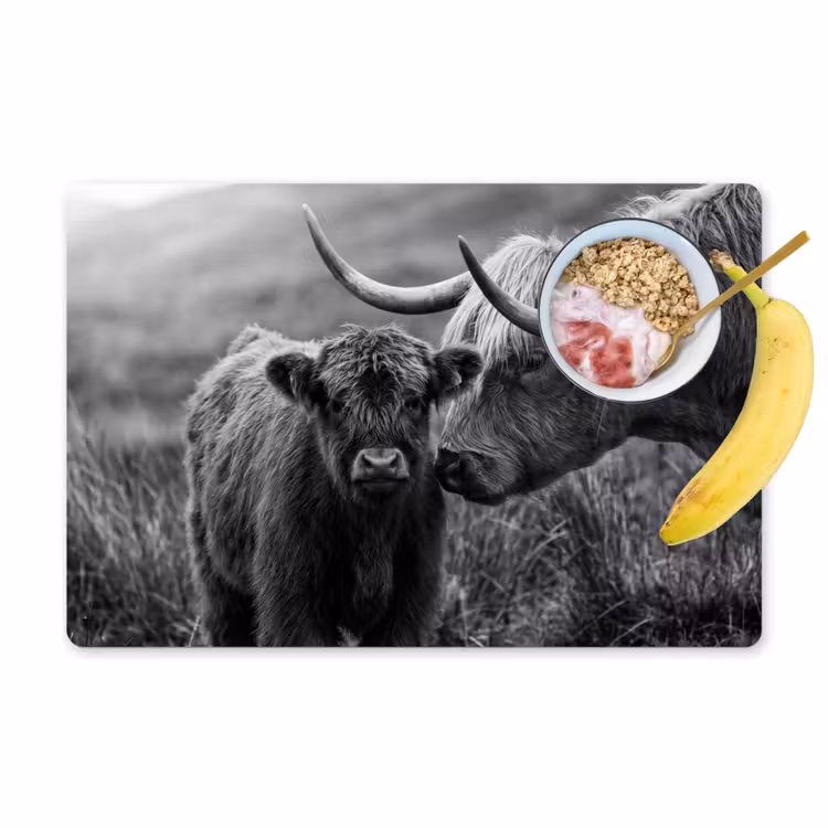 Tischset - 6 Stück - Schottischer Highlander - Kalb - Schwarz - Weiß — 1