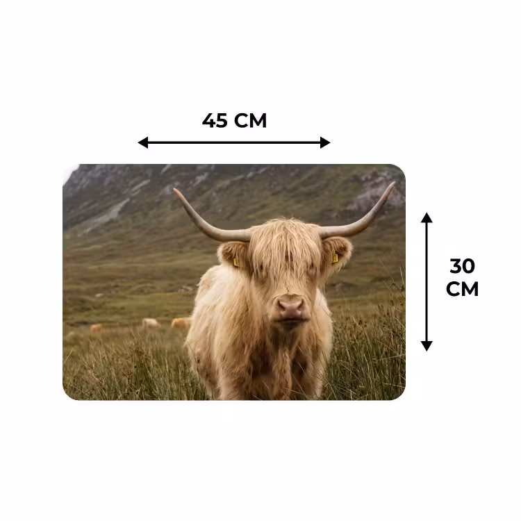 Tischset - 6 Stück - Schottischer Hochländer - Bergen - Grasfeld — 3