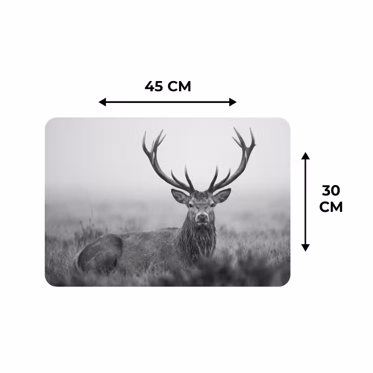 Tischset - 6 Stück - Hirsch - Neblig - Schwarz - Weiß — 3