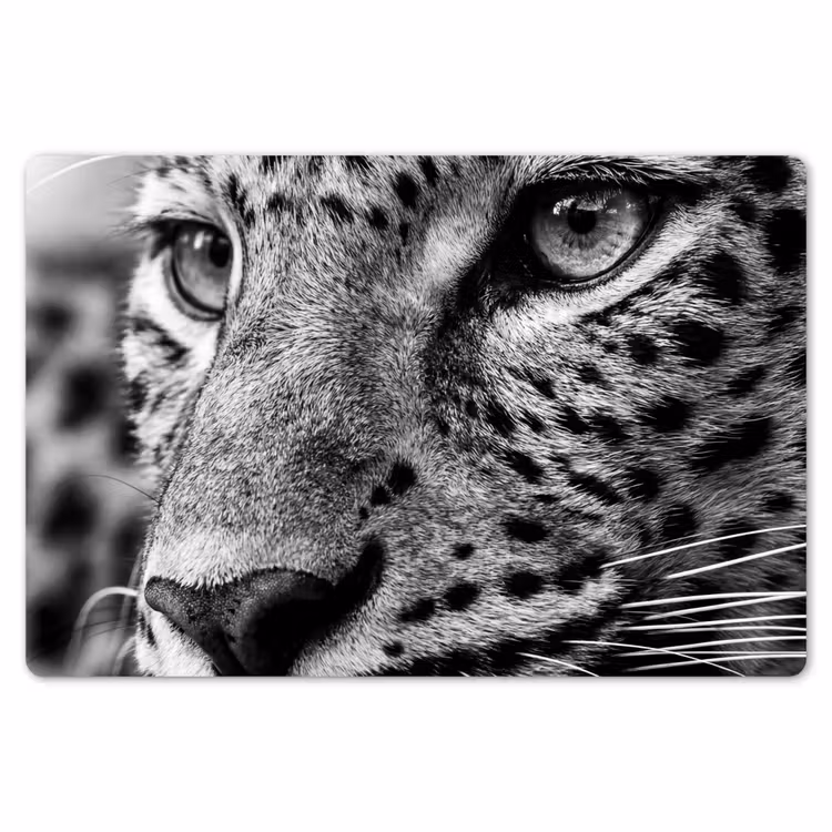 Tischset - 6 Stück - Leopard - Schwarz - Weiß - Auge — 6