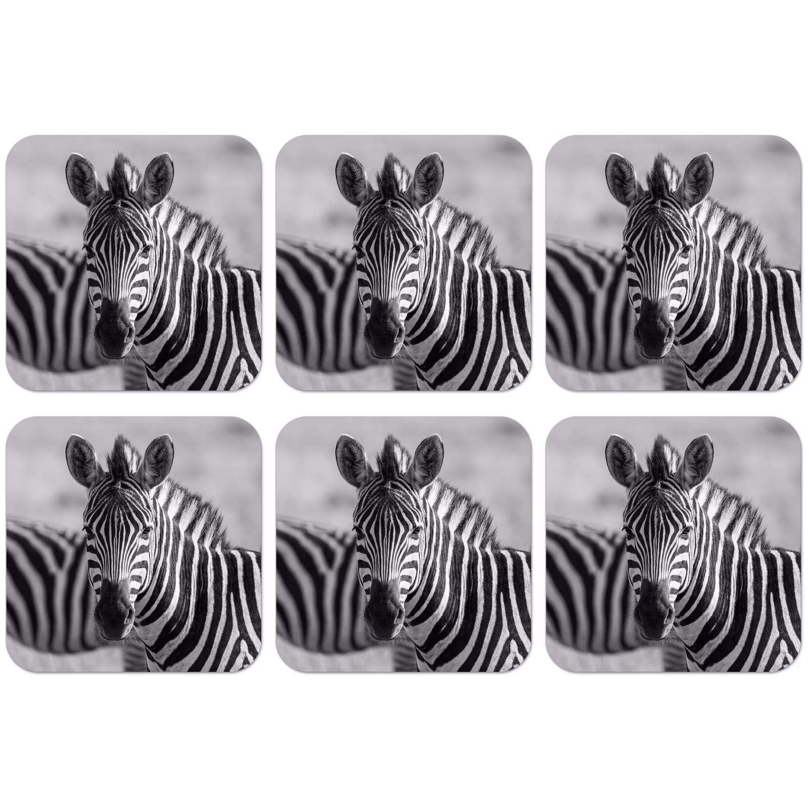 Untersetzer - Zebras - Schwarz - Weiß — 1