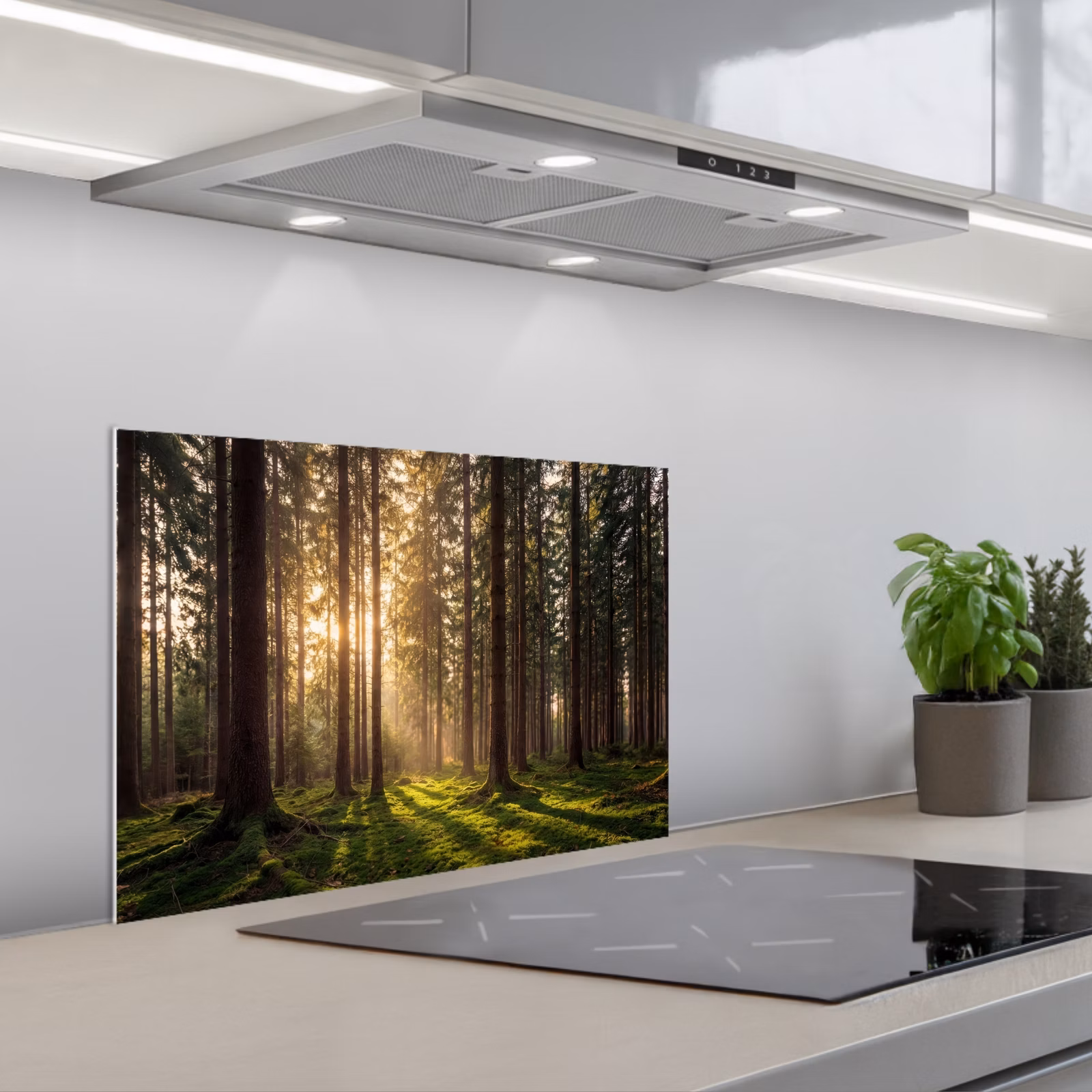 Spritzschutz Küche - Wald - Gras - Sonnenlicht — 1