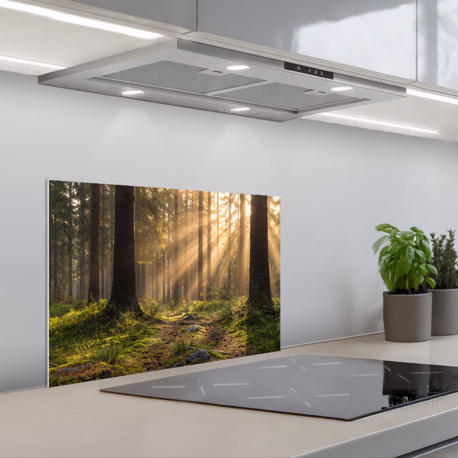 Spritzschutz Küche - Wald - Sonnenlicht - Gras — 1