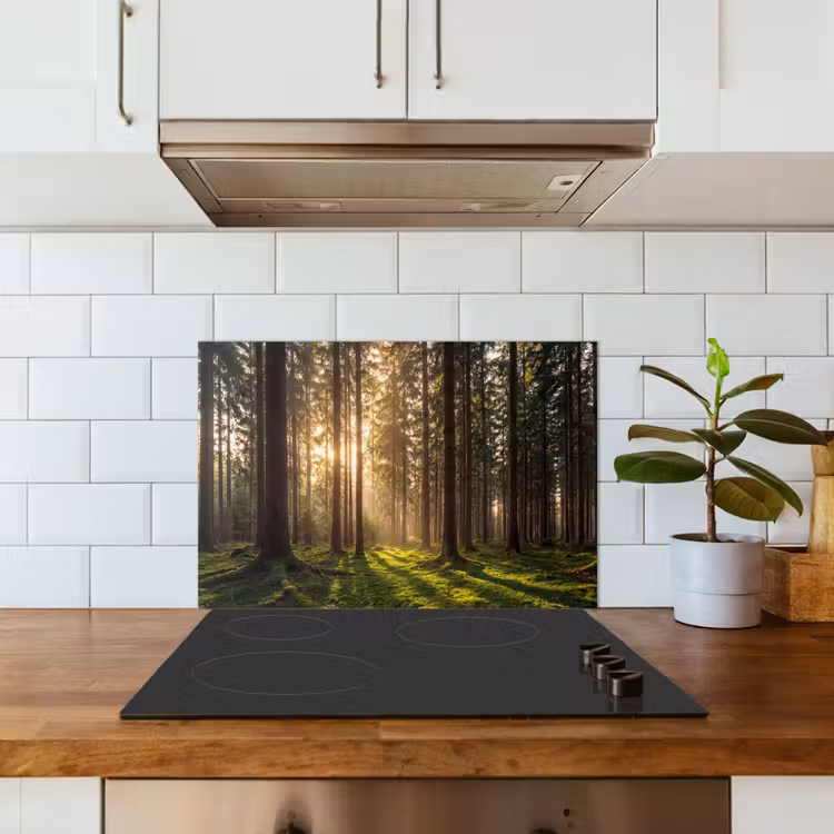 Spritzschutz Küche - Wald - Gras - Sonnenlicht — 4