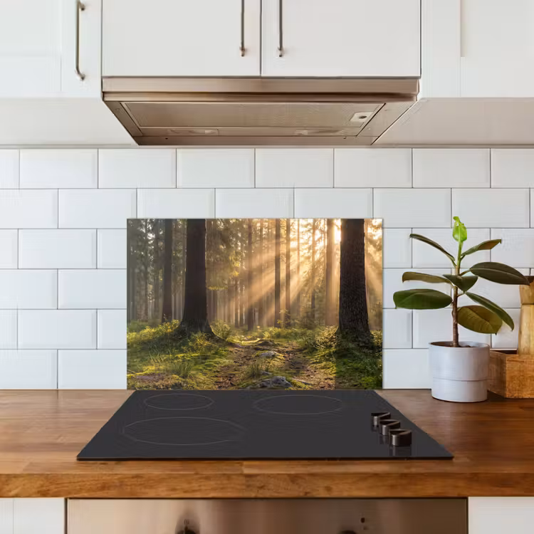 Spritzschutz Küche - Wald - Sonnenlicht - Gras — 4