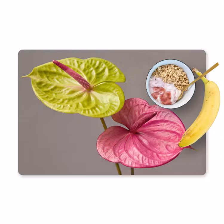 Tischset - 6 Stück - Pflanzen - Anthurium - Grün - Rosa — 1