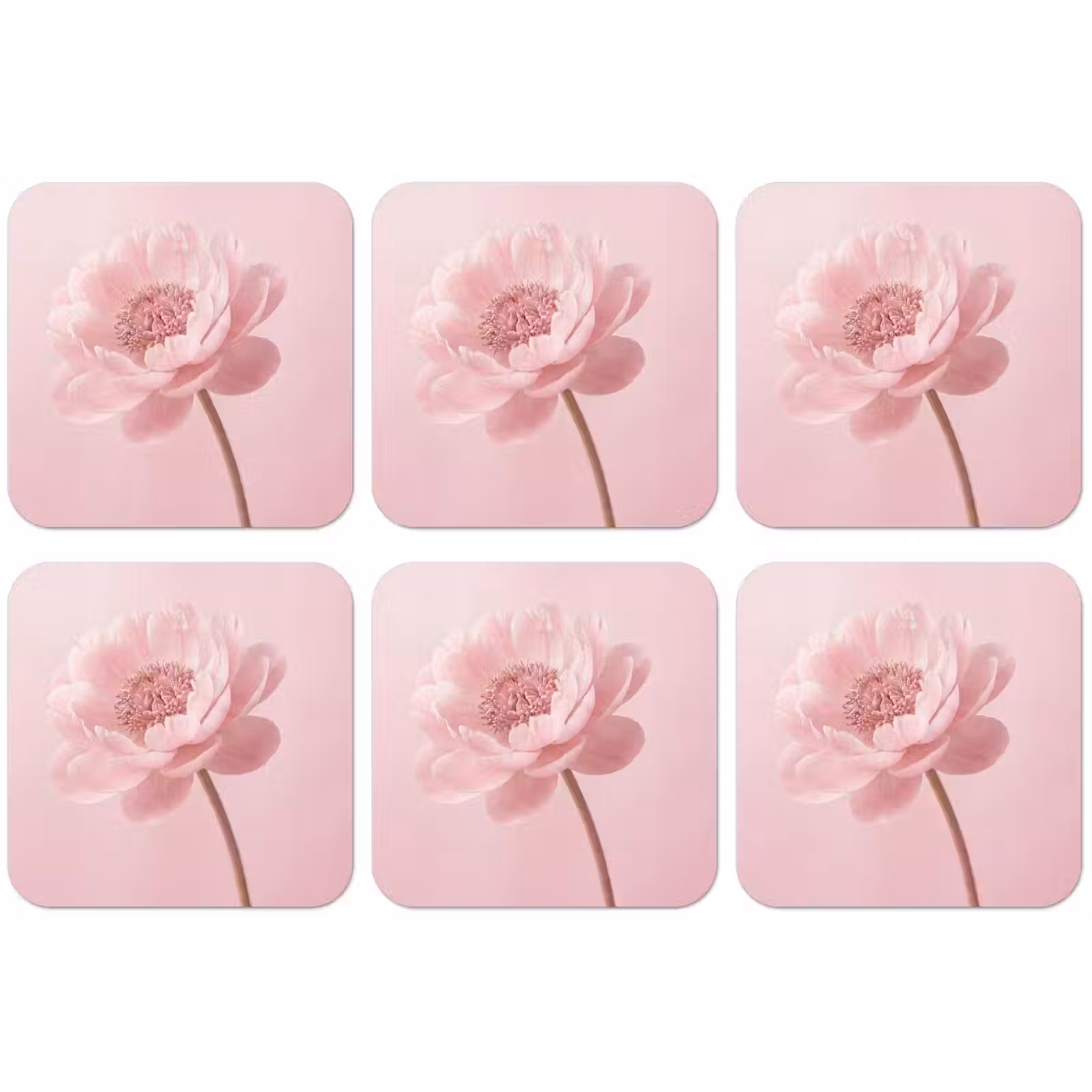 Untersetzer - Blume - Pfingstrose - Rosa — 1
