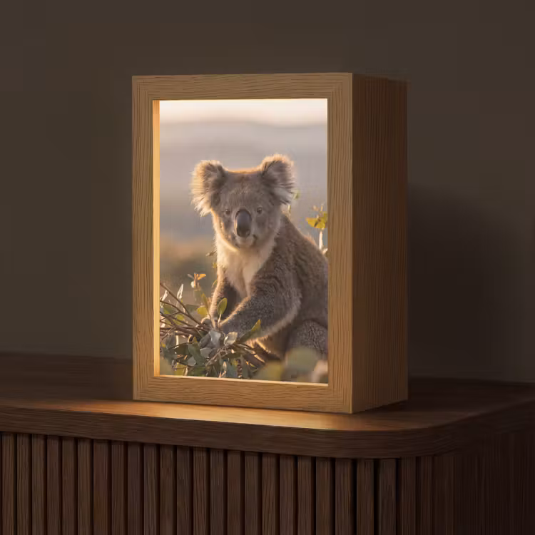 Tischlampe - Koala - Blätter - Morgenlicht — 1
