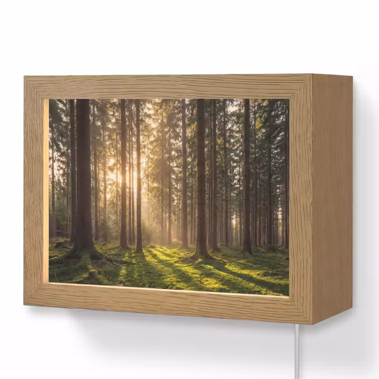Lightbox - Wandleuchte - Wald - Gras - Sonnenlicht — 1