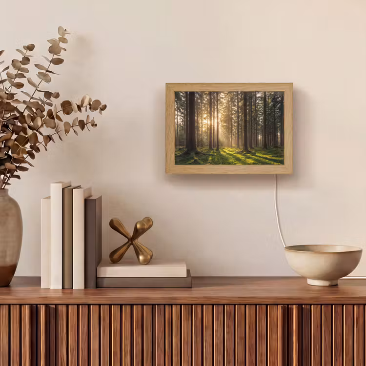 Lightbox - Wandleuchte - Wald - Gras - Sonnenlicht — 4