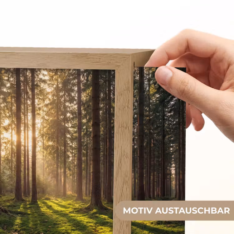 Lightbox - Wandleuchte - Wald - Gras - Sonnenlicht — 6