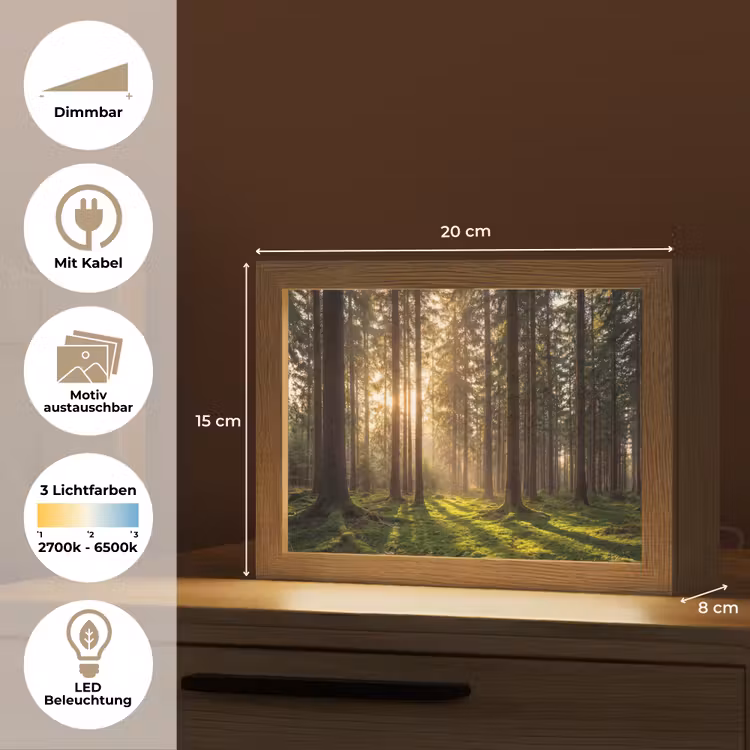 Lightbox - Wandleuchte - Wald - Gras - Sonnenlicht — 9