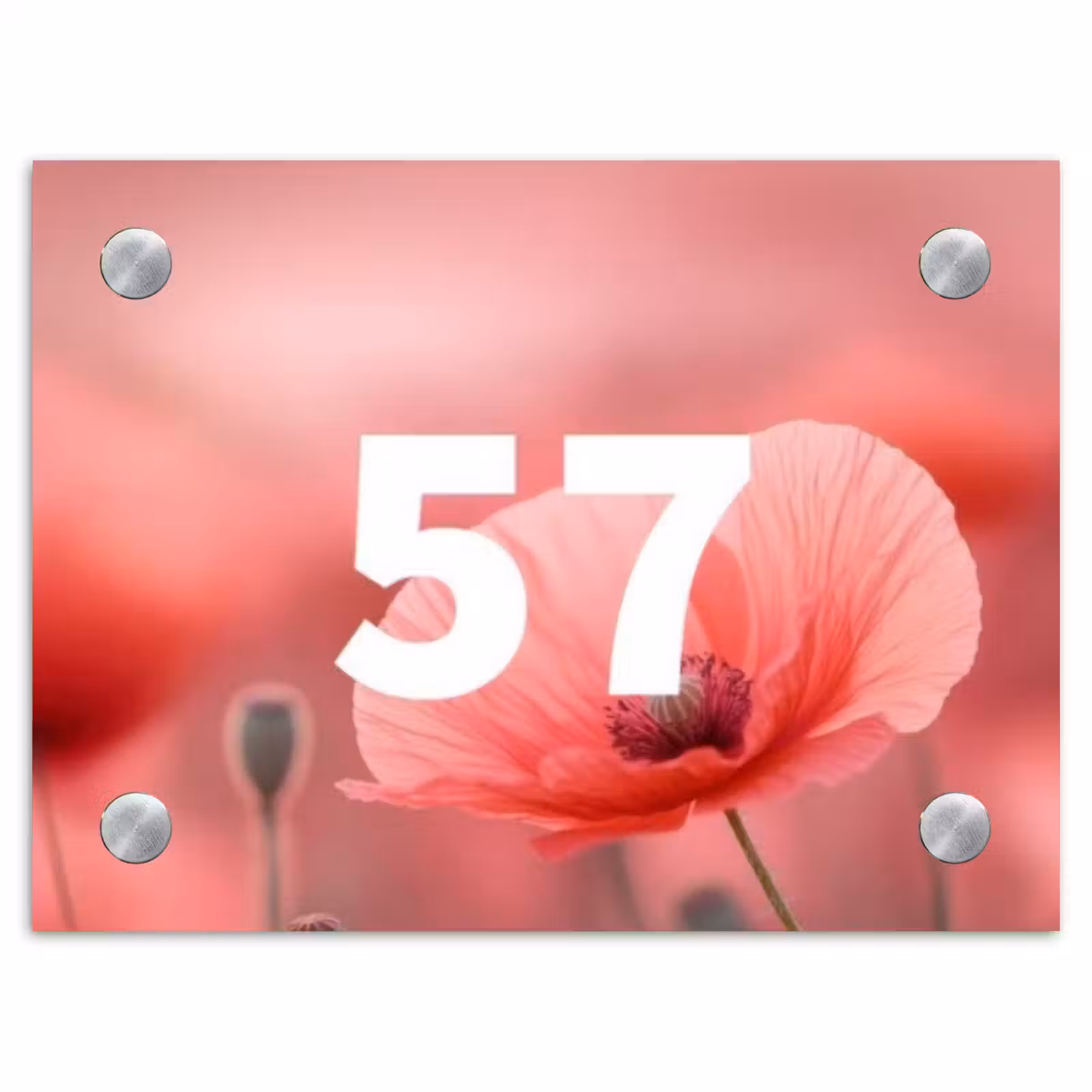 Namensschild Haustür Rechteck - Mohn - Traditionell — 1