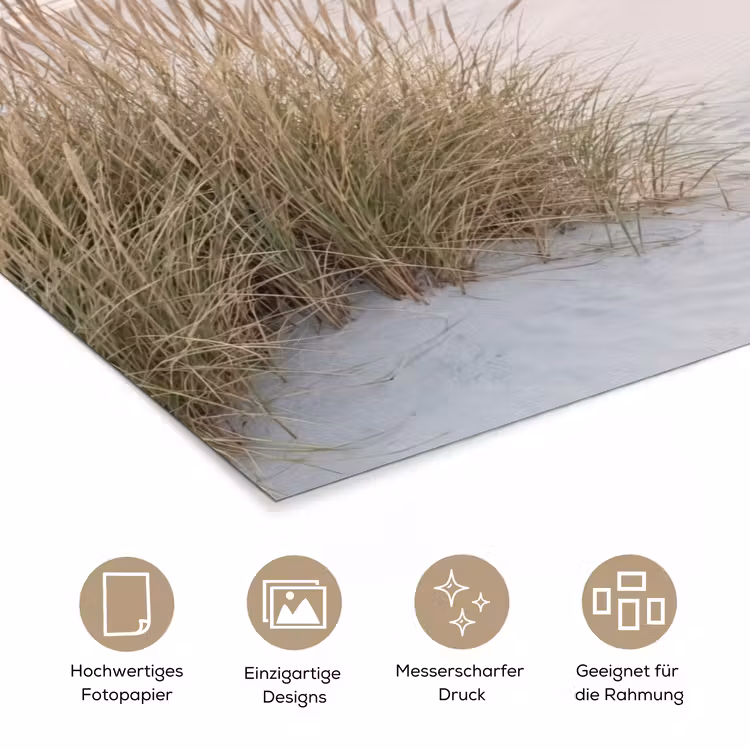 Poster - Horizont - Dünenlandschaft - Sand — 5