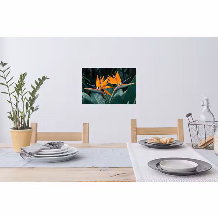 Wandtattoo – Paradiesvogel - Blume - Exotisch — 4