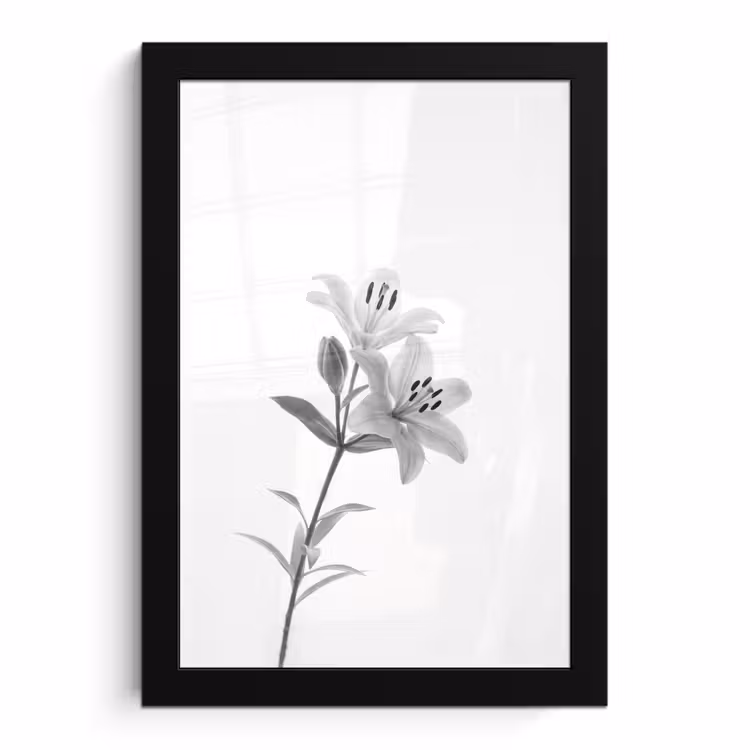 Bilder mit Rahmen - Lilien - Elegant - Schwarz - Weiß — 1