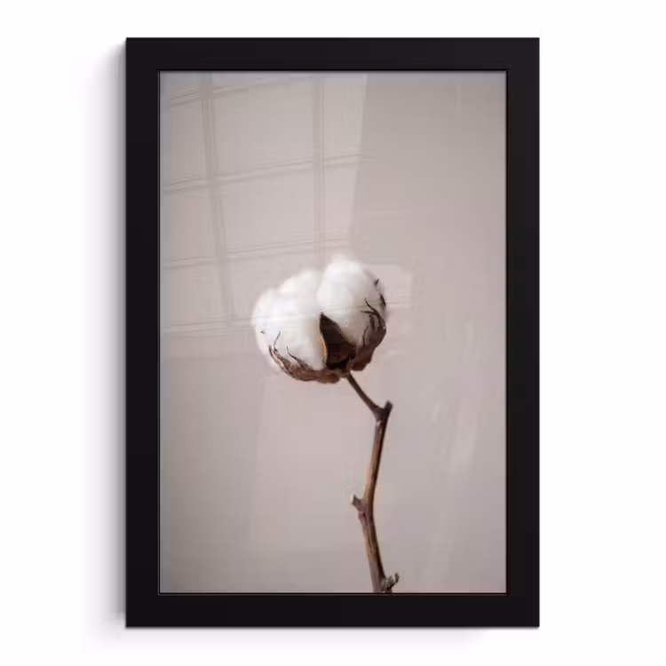Bilder mit Rahmen - Wattebausch - Minimalistisch - Weiß — 1