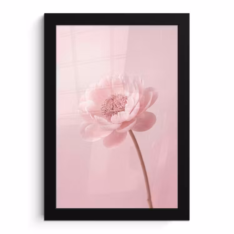 Bilder mit Rahmen - Blume - Pfingstrose - Rosa — 1
