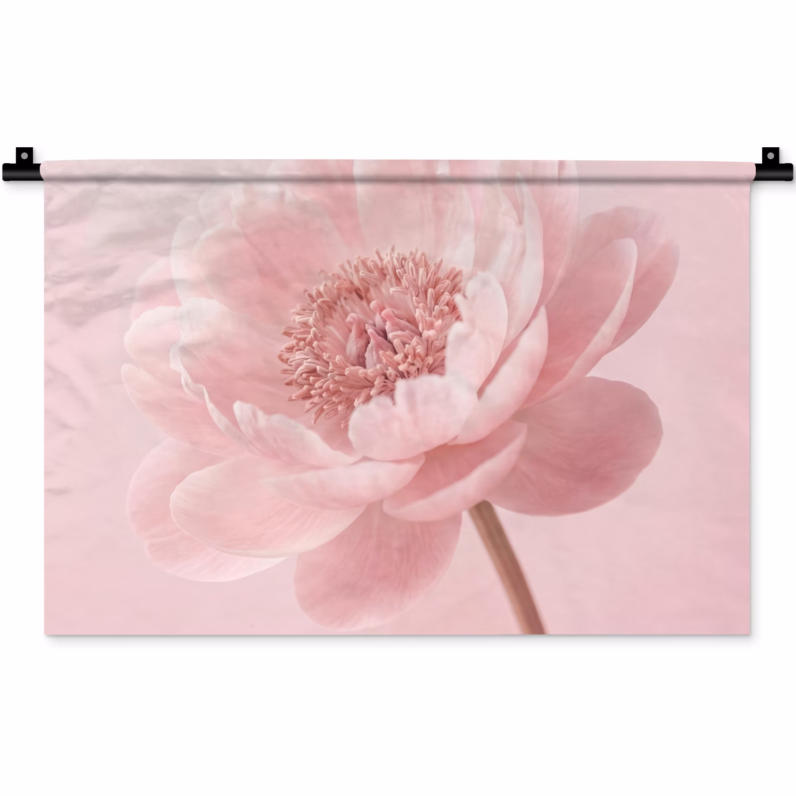 Wandteppich - Blume - Pfingstrose - Rosa — 1