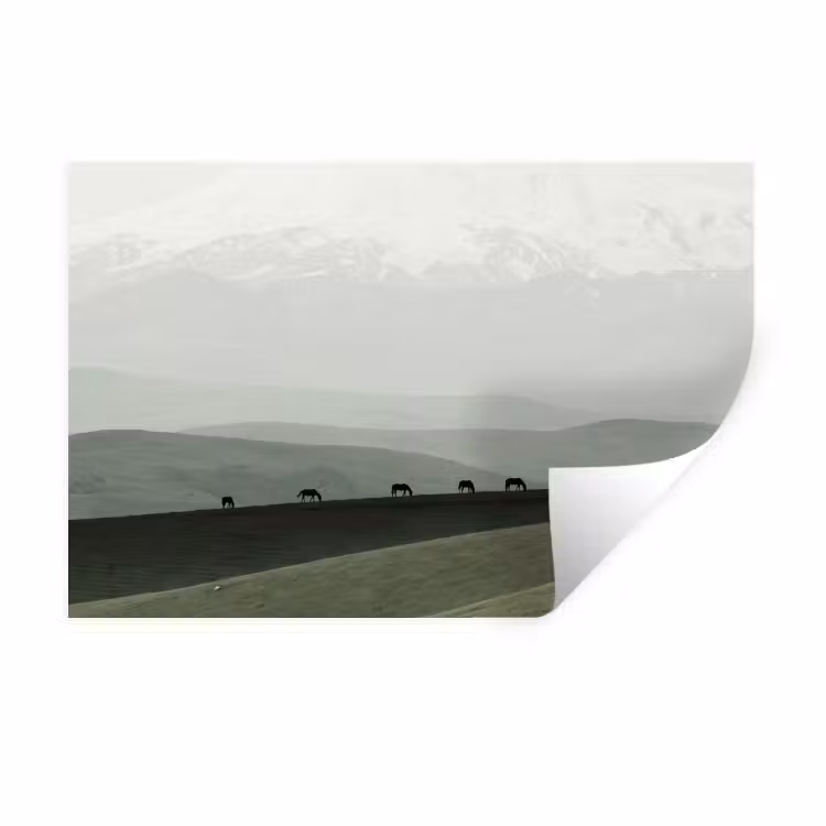 Wandtattoo – Grau - Berg - Pferde — 1