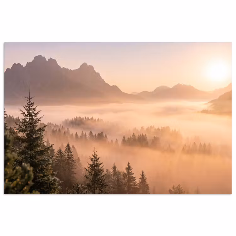 Poster - Sonnenlicht - Nebel - Berge - Bäume — 1