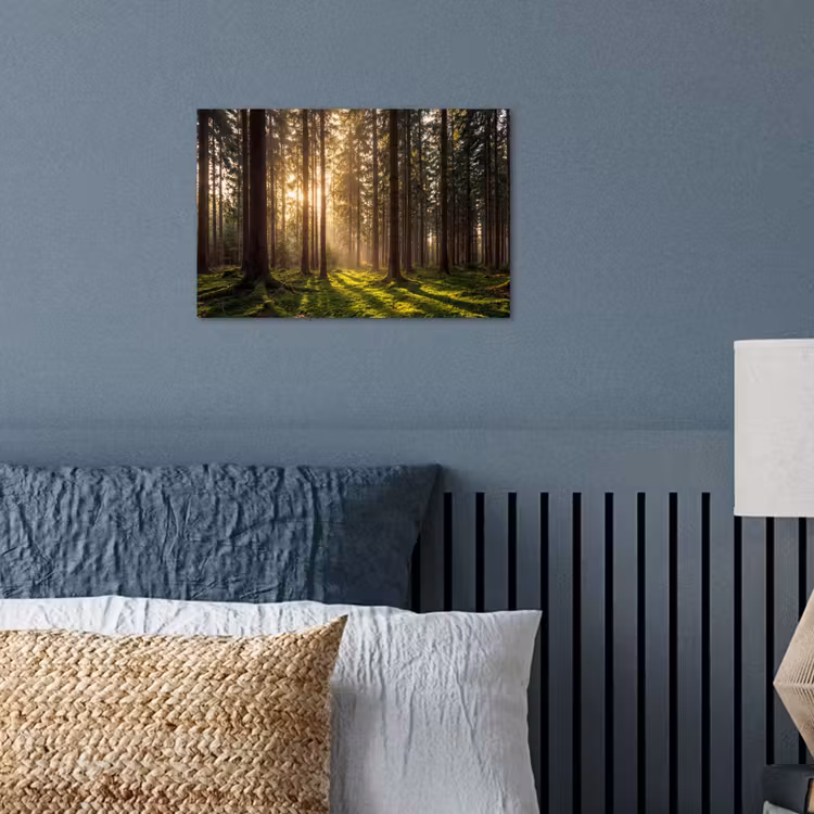 Poster - Wald - Gras - Sonnenlicht — 3
