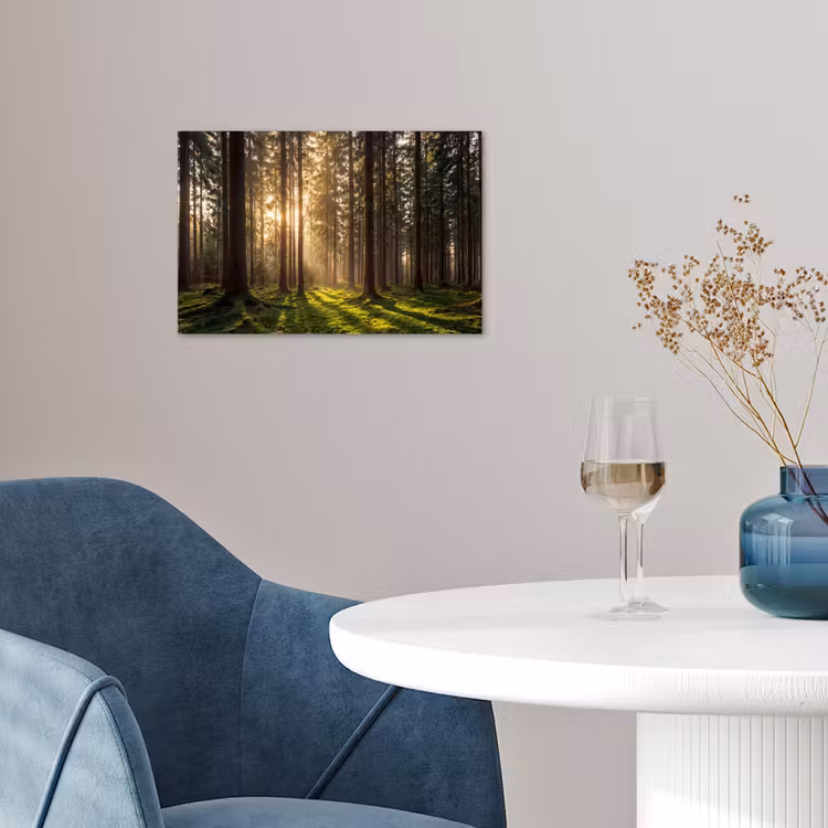 Poster - Wald - Gras - Sonnenlicht — 4