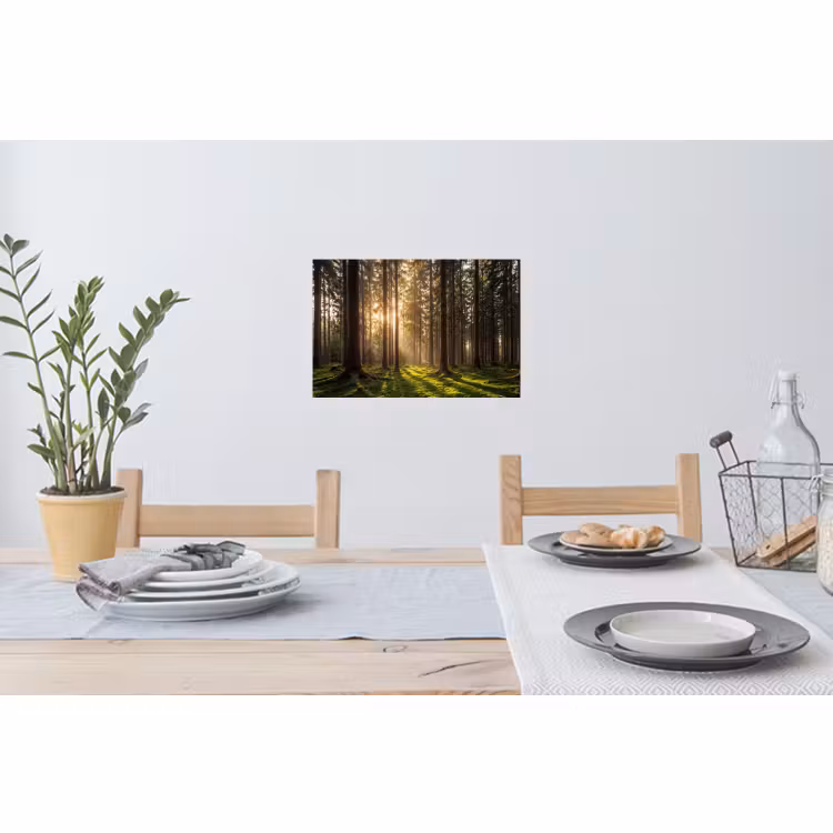 Wandtattoo – Wald - Gras - Sonnenlicht — 4