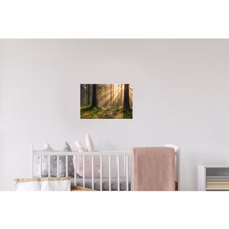 Wandtattoo – Wald - Sonnenlicht - Gras — 5