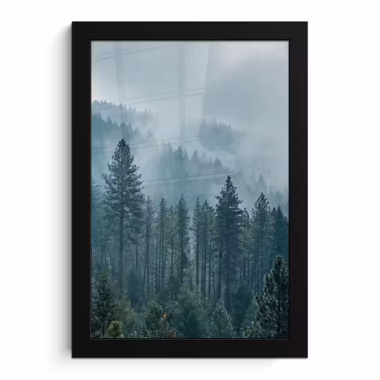 Bilder mit Rahmen - Naaldwoud - Bergen - Nebel — 1