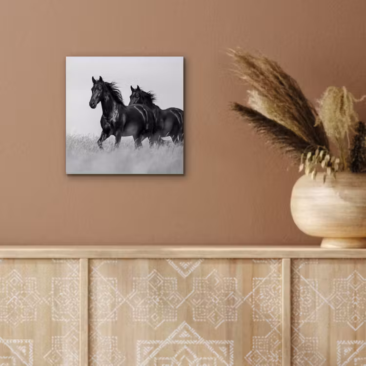 Alu-Dibond-Bild - Pferde - Gras - Schwarz - Weiß — 5