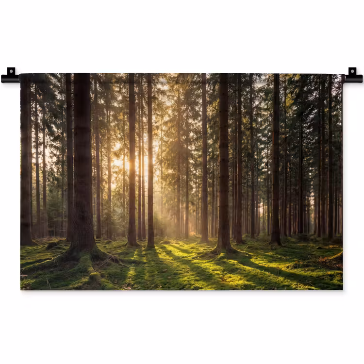 Wandteppich - Wald - Gras - Sonnenlicht — 1