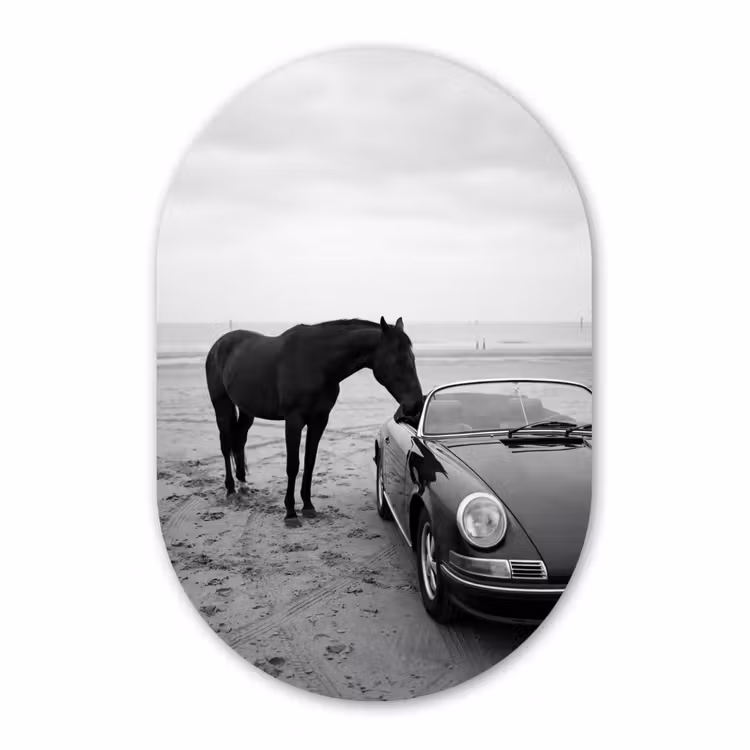Alu-Dibond-Bild Oval - Pferd - Auto - Schwarz - Weiß — 1