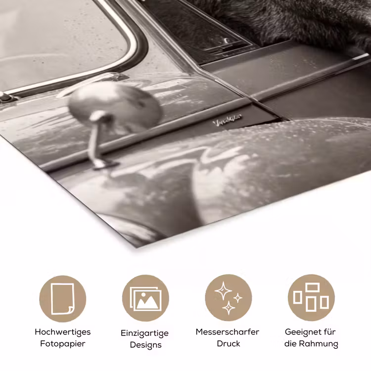 Poster - Elch - Auto - Geweih - Schwarz - Weiß — 5